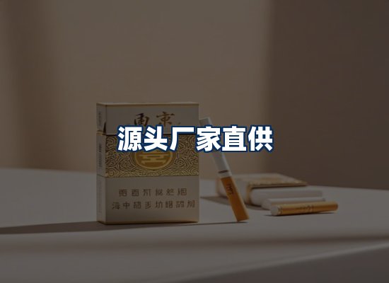 专业团队办公环境